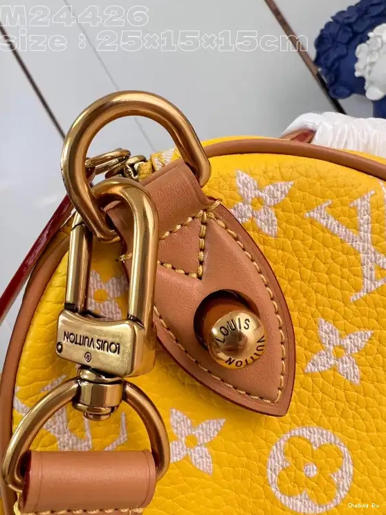 Louis Vuitton SPEEDY 25 0613